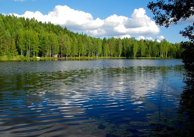 Stěhování do Finska